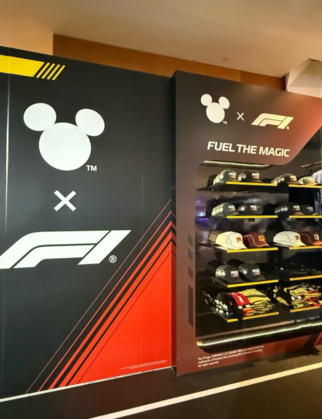 F1 in Las Vegas・ディズニー最強コラボ。 | Crazy Cat Lady In San Diego