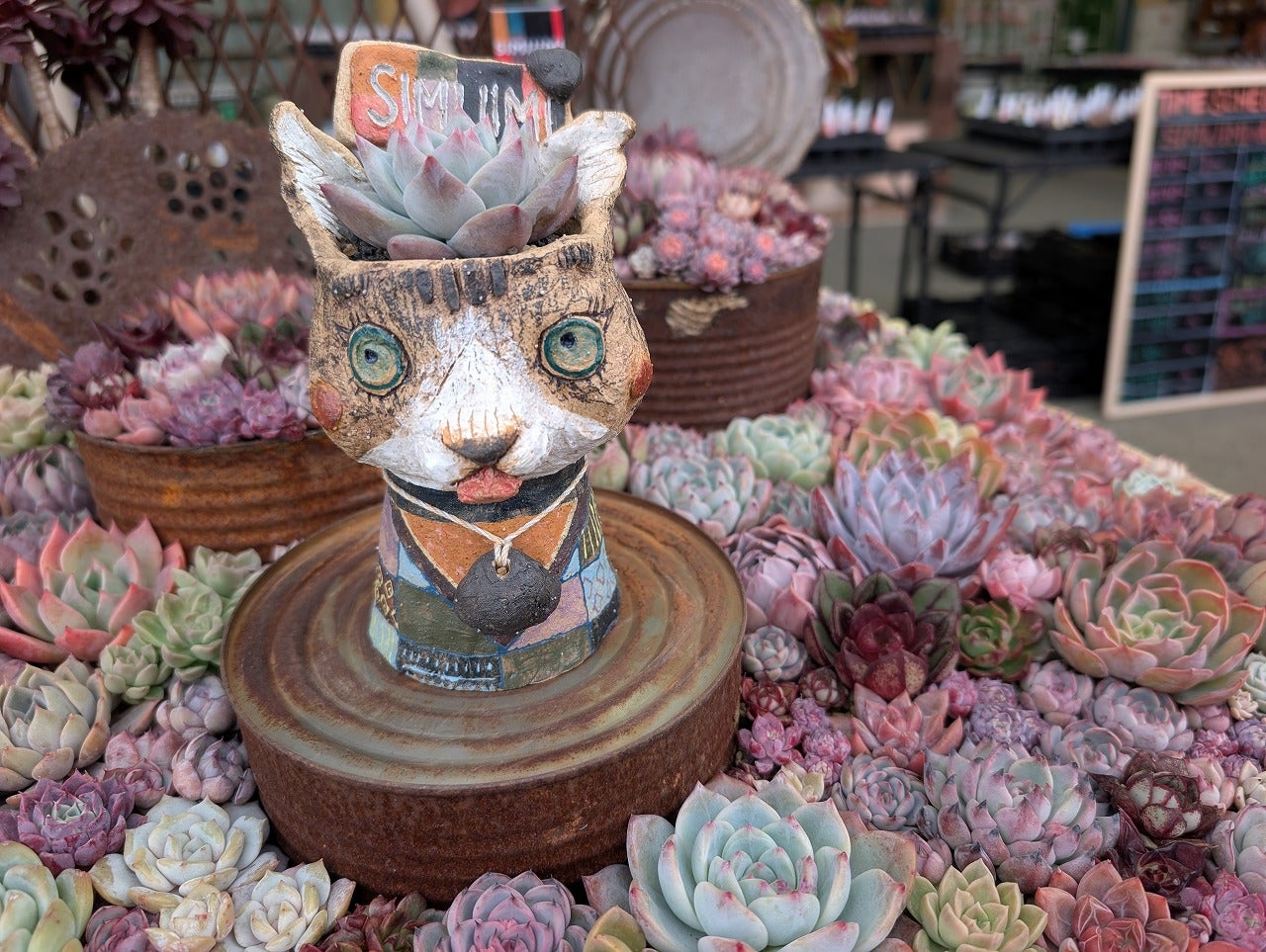 SIMIJIMIさんのありったけinガーデンメッセ | ブログ版