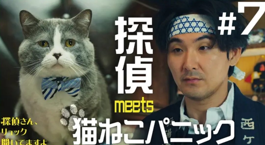 猫づくし | 日々是好日