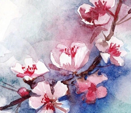 5/30 山崎育三郎 @サントリーホール♪セットリスト | ～cheri-b～