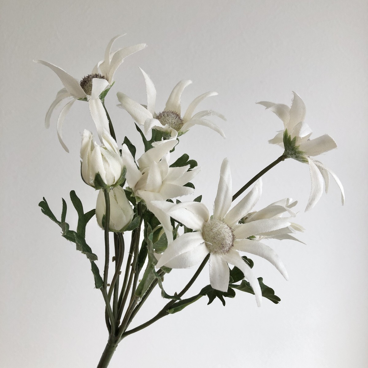 造花】アスカ/フランネルフラワーブッシュ×6 つぼみ×4 #001 ホワイト/A