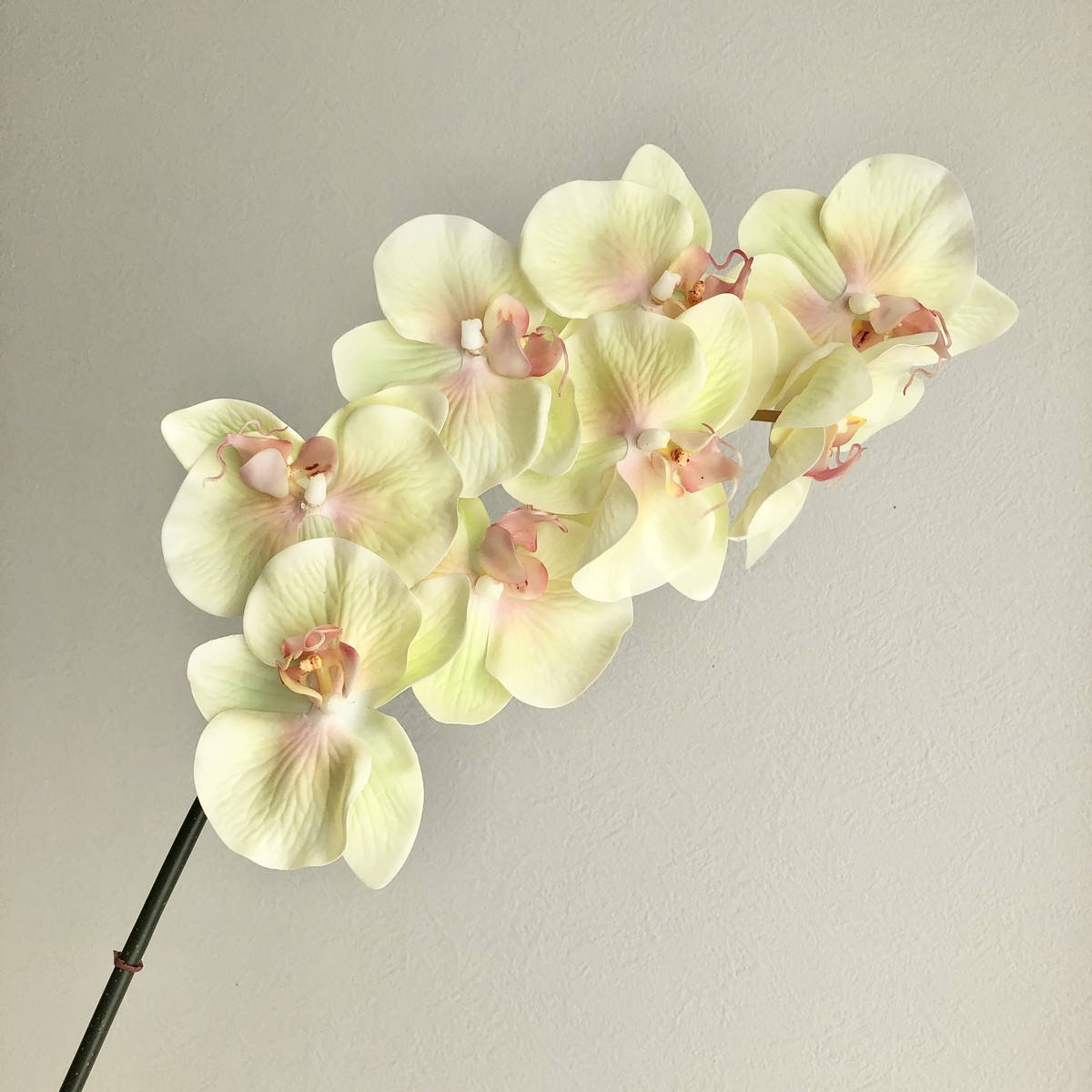 特価◎【造花】アスカ/コチョウラン×8 ソフトイエローピンク/A-34606