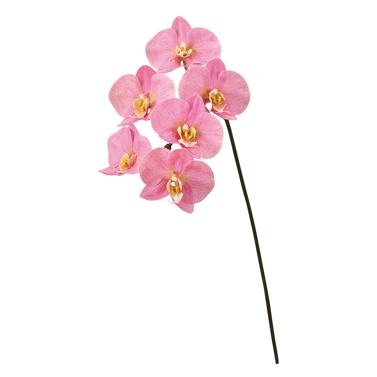 造花】MAGIQ東京堂/ミカエラファレノプシス ピンク #2 PINK/FW093450