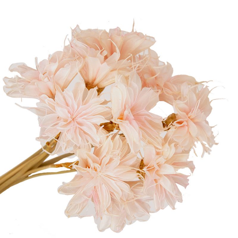 ドライ】GARDEN PALETTE MONO/姫月下美人 ライトピンク/GPQ-03 - 花材