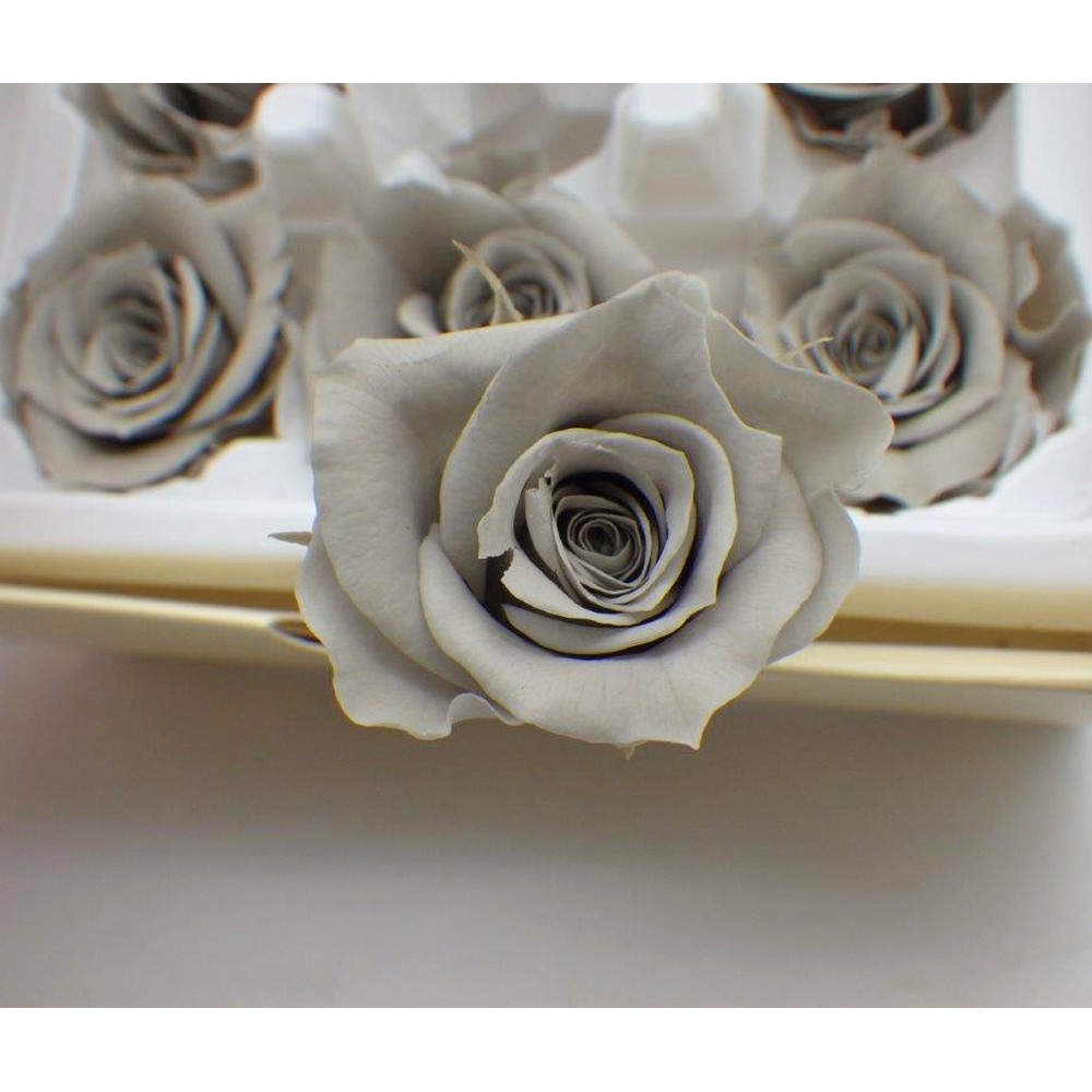 即日☆ B級特価◎【プリザーブド】GARDEN PALETTE MONO/リサローズ 9輪