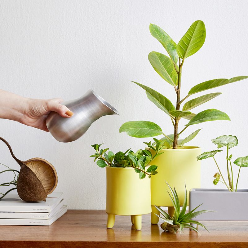 志成販売/水やりにちょうど良いアルミの水差し(L)/304979 - 花材通販は