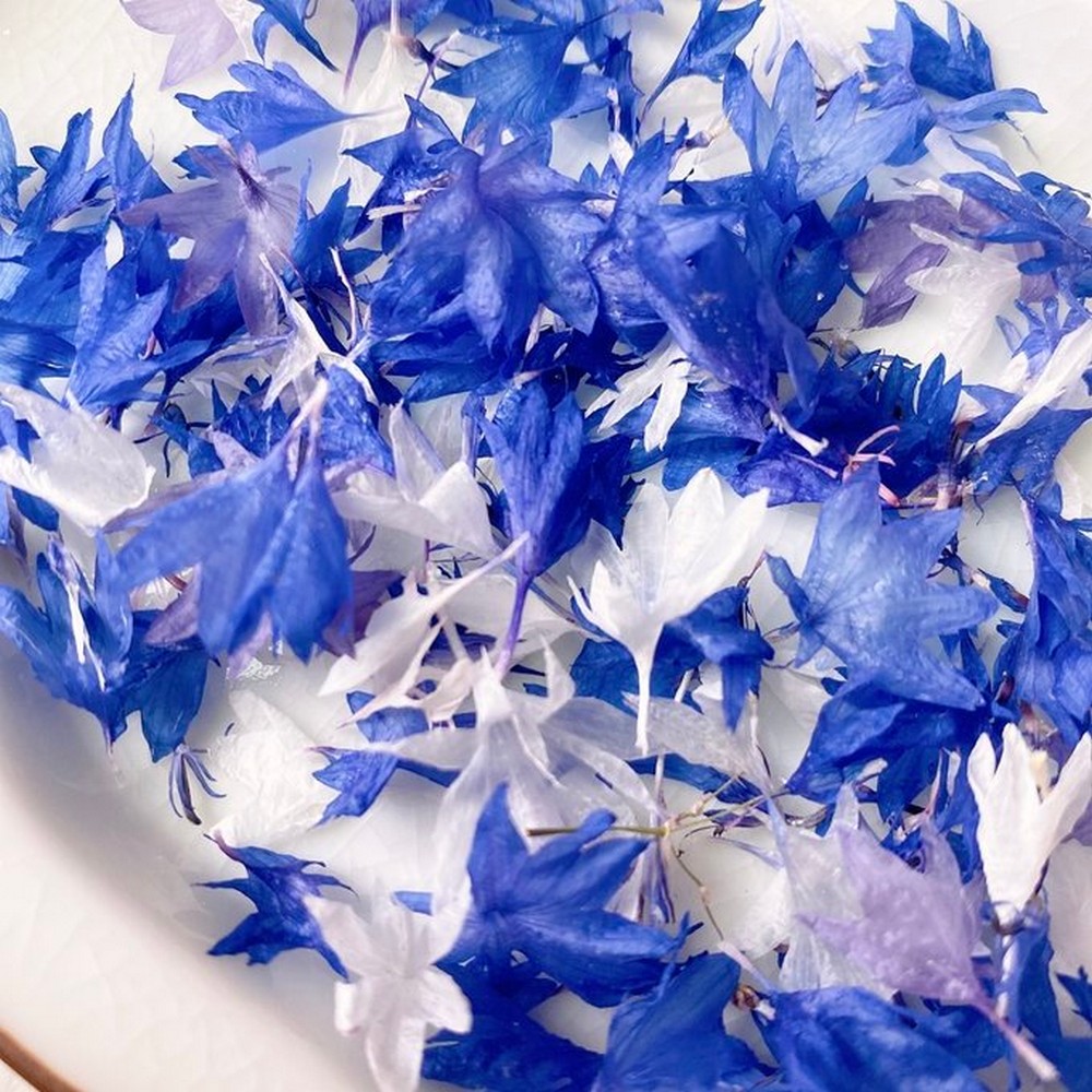 ドライ】m flowers/矢車草 ドライ - 花材通販はなどんやアソシエ