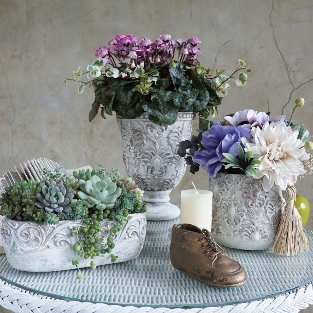 特価◎即日☆CARNAC/アントワープカップL/YD52L - 花材通販はなどんや