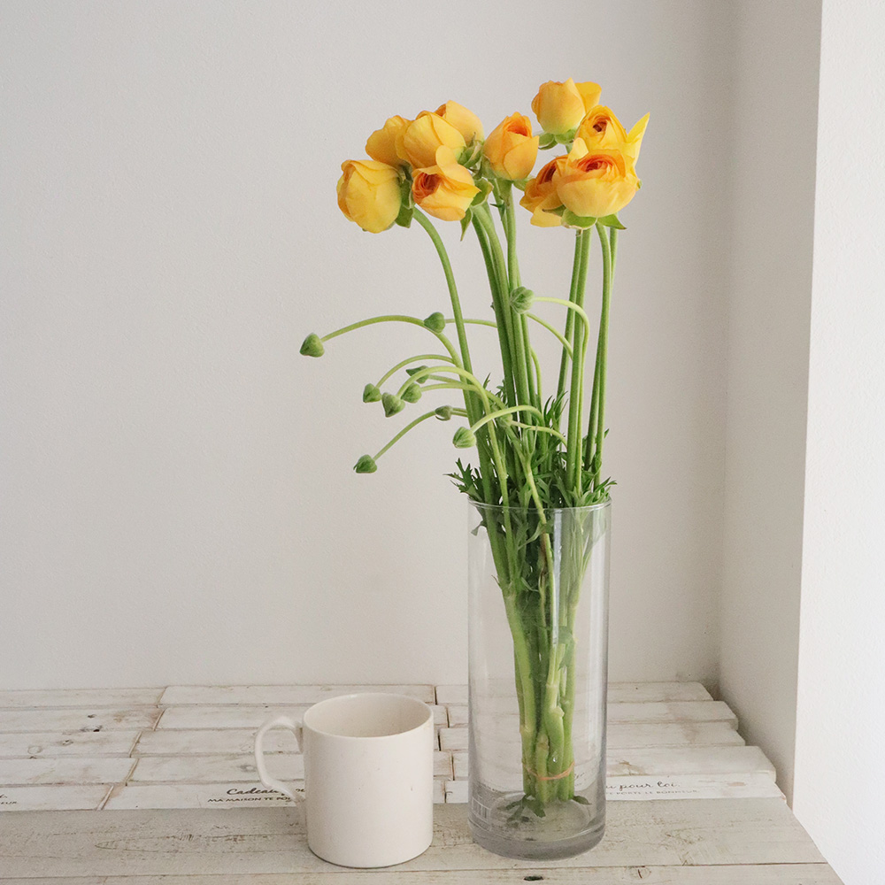 ラナンキュラス 同梱3種 25センチ位各20本[バラ 切り花 生花]1