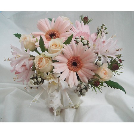 生花】【さぎやま】ガーベラ エレノア(ピンク)芯黒 - 花材通販はなどん