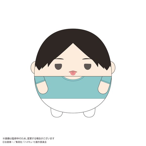 グッズ: ハイキュー!! ふわコロりんBIG9 D：国見英: マックス