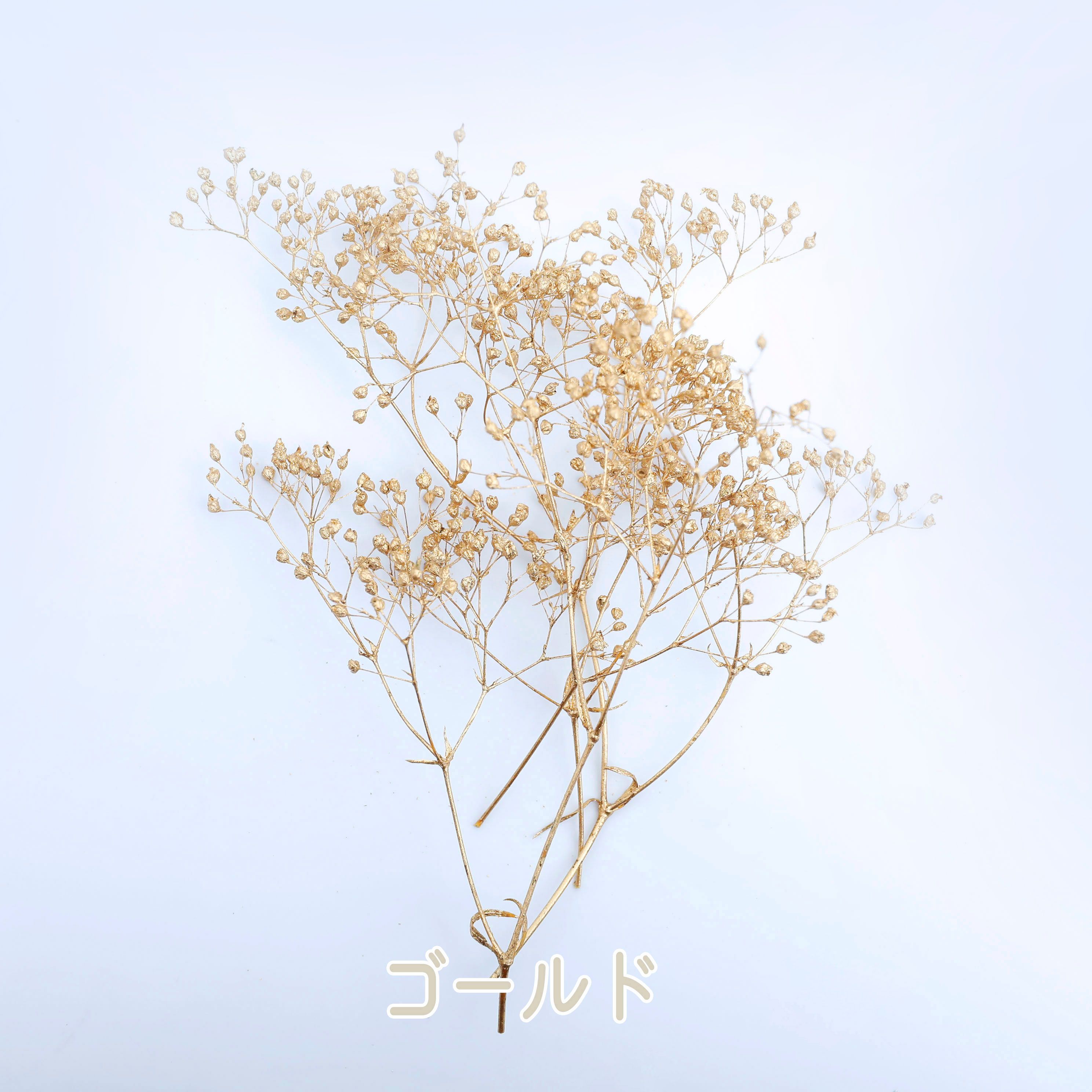 小分け】ソフトミニカスミ草 (ゴールド・シルバー・プラチナ) 小分け