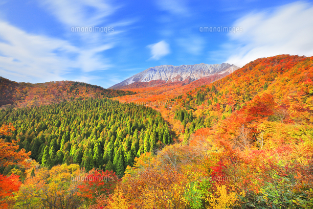 秋の鍵掛峠より大山と紅葉[10816004761]の写真・イラスト素材｜アマナ