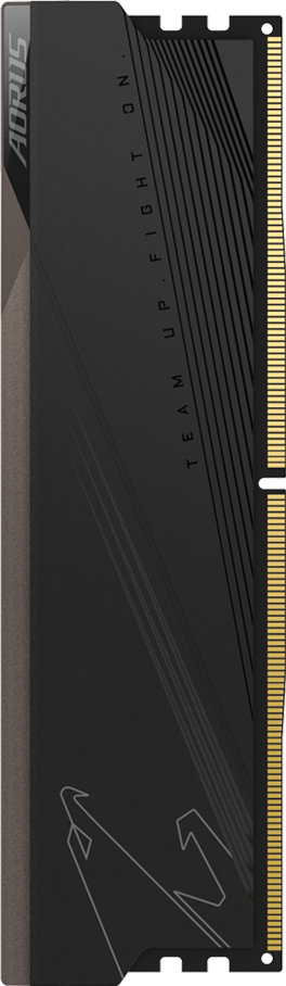 AORUS Memory DDR5 32GB (2x16GB) 5200MT/s - GIGABYTE Global