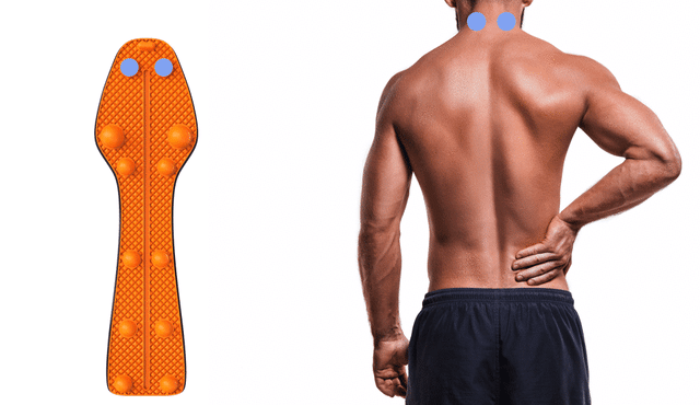 場所を問わず、12個の指圧ボールで上半身の隅々まで！専門家レベルの