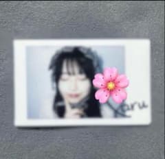 m15477273973_1.jpg?1721533882