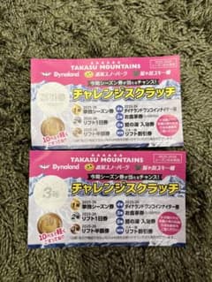 ダイナランド•高鷲スノーパーク、鷲ヶ岳スキー場】リフト券半額券
