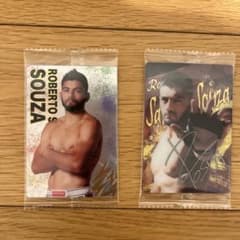 m19810815173_1.jpg?1734952485