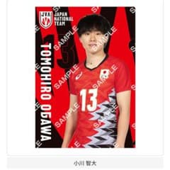 龍神nippon バレーボール男子日本代表 クリアファイル 小川智大 - メルカリ