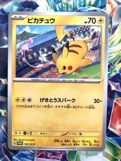 m13052353537_1.jpg?1725231026