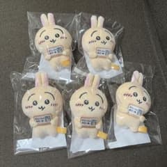 m13465709778_1.jpg?1719041524