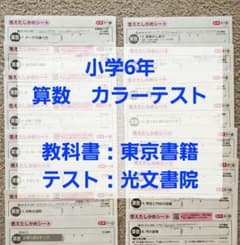 算数 カラーテスト 東京書籍 光文書院 小6 - メルカリ