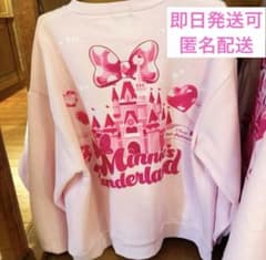 ディズニーランド ミニーのファンダーランド トレーナー ミニパル