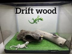 流木 No.255アク抜き済 煮沸紫外線殺菌済 爬虫類トカゲシェルター