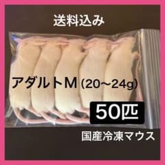 冷凍マウス アダルトM50匹 ※日時指定希望の方は必ず説明欄をお読み