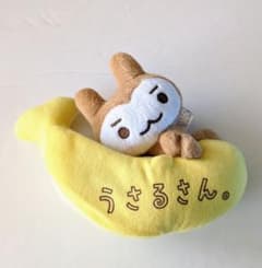 うさるさん ぬいぐるみ - メルカリ