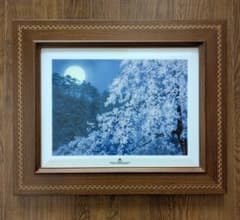 m26286853294_1.jpg?1741401777