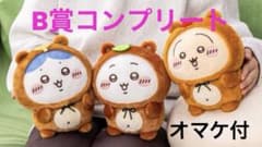 ちいかわ たぬきだもんくじ B賞 コンプリートセット ちいかわ ハチワレ