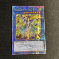 m22845783897_1.jpg?1754805640