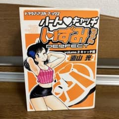 ハートキャッチいずみちゃん パーフェクト 2巻 - メルカリ