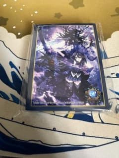 デュエプレGP ノイン プレイマット スリーブ上下逆さま印刷エラー バラ