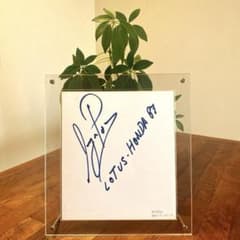 1987年第2期HONDA F1メモリアル アイルトンセナ直筆サイン入額装品