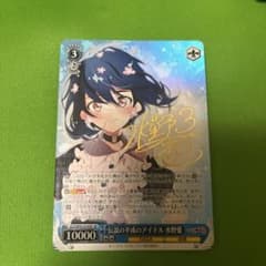 m36404357565_1.jpg?1764676758