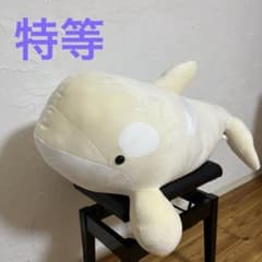 名古屋港水族館 シャチ 白 ぬいぐるみ ぬいぐるみくじ 特等 アルビノ