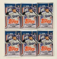 m38018221910_1.jpg?1751080253