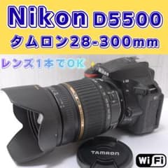 ✨レンズ1本でOK✨Nikon D5500 28-300mm スマホ転送 高倍率 - メルカリ