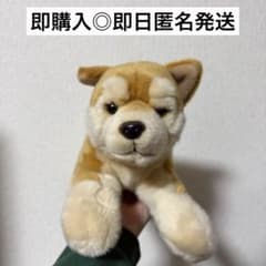 安いREGALO リアルドッグコレクションの通販商品を比較 | ショッピング