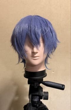 にじさんじ 小柳ロウ コスプレ ウィッグ - メルカリ