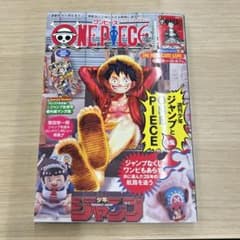 ワンピースマガジン 20号 プロモカード付き モンキー・D・ルフィ 付録