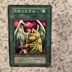 m44907343854_1.jpg?1731221685