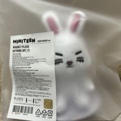 seventeen miniteen マグネットキーリング - メルカリ
