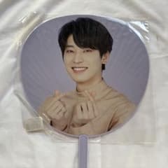 SEVENTEEN ウォヌ うちわ JAPAN DOME TOUR 公式 - メルカリ