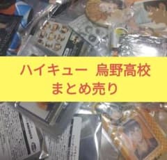 ハイキュー 烏野 影山 日向 月島 西谷 菅原 ステッカー ファイル 缶バ