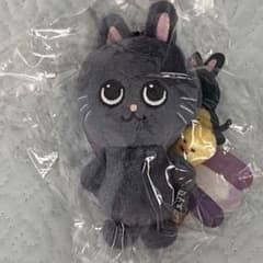 RIIZE ウォンビン ぬいぐるみ トニャンドク - メルカリ