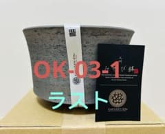鶴仙園 みやび鉢 OK-03-1 オニバス 未使用品 - メルカリ