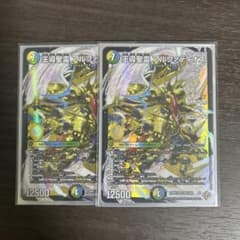 王導聖霊アルファディオス25RP2 (2枚) - メルカリ